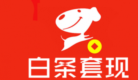 1-241030105644X2.png